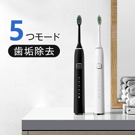 圧倒的高評価★4.81点 電動歯ブラシ 音波式 音波歯ブラシ 歯ブラシ 38000回転 5つのモード 防水IPX7 2分間オートタイマー 替えブラシ メモリー機能 Type-C充電 満充電で100日間長持ち 静音 歯周病 歯石予防 歯垢除去 口腔ケア 家族 プレゼント
