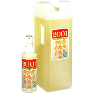 [^E@p]2001t2bgp Xv[et E邵E؁E铿iFtjh蕧t