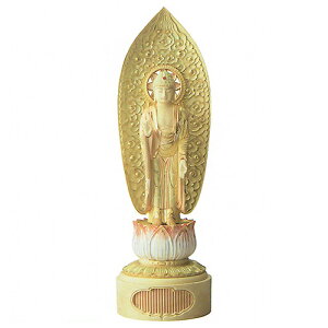  | Ԙ@@ʑt@MɁ@EɁ@؋Wʁ@cQ@D03 | M3.5@243i214j×79×s73mm@E3.5@222i193j×78×s74mm@ij͑