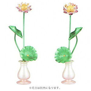  @ ~j  A~  g炫񂰁h F i΁j 3.0 3.5 ܖ{ F17 | { @̉ ʐF iԗʔj