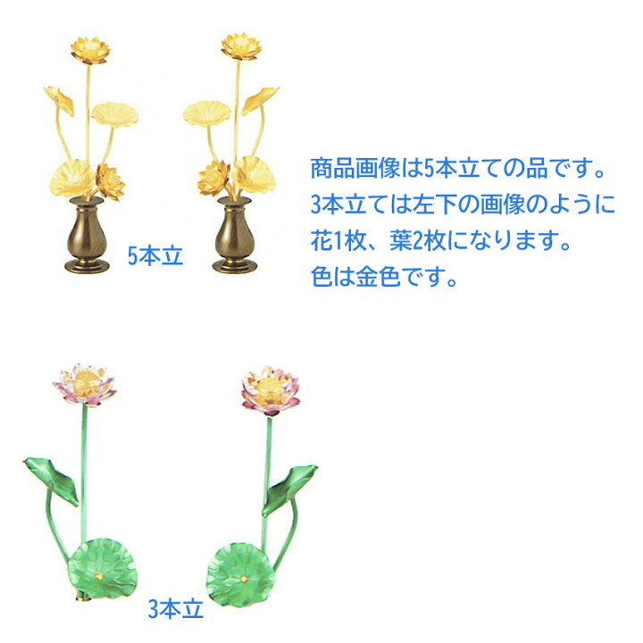楽天市場 常花 蓮華 ミニ 仏具 アルミ製 豆常花 咲きれんげ 消金仕上 対 1 0寸 2 5寸 3 0寸 三本立 F17 日本製 金色 蓮の花 花立別売り 仏壇 仏具 神棚のハセガワ仏壇 楽天市場 常花 蓮華 ミニ 仏具 アルミ製 豆常花 咲きれんげ 消金仕上 対 1 0寸 2 5寸 3 0寸 三本立 F17 日本製 金色 蓮の花 花立別売り 仏壇 仏具 神棚のハセガワ仏壇