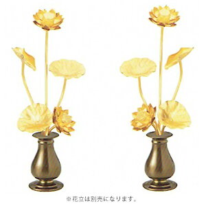 @ ~j  A~ ԁg炫񂰁h di΁j 1.0 2.5 3.0 O{ F17 | { F @̉ iԗʔj