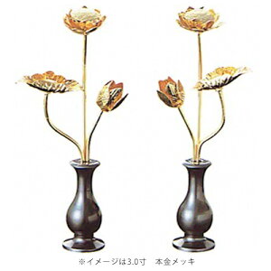  ԗEΗEC | ~j rt KF i΁j bL 3.0 F04 | 3.0 164×66mm