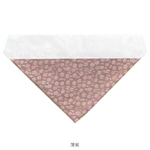 ���� �ŕ~�i���������j �O�p ���� ���a �Ђ�� �s���N ���� �Z�� �� G01 ���@ ���� 30��E50�� �T�C�Y �@�� ���~