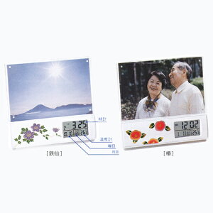  ʔ Gdgvʐ^ s50×156×152mm i܁j s33×175×175mm dl {[ϔ id 188g
