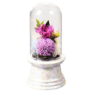 _ _ ̑ | ԓE vU[uht[ Lcāij | s87×87×185mm i܁j s93×93×215mm dl i{[ϔ id 300g