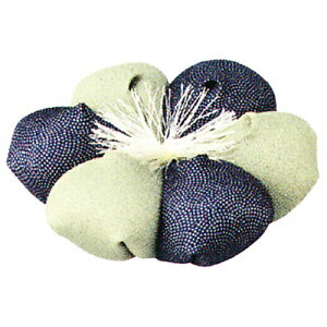 _ |  ԕzc 4 | s135×135×65mm dl v id 80g i܁j 1