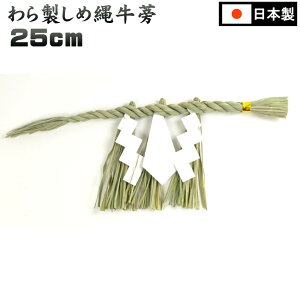 ߓ 250~ m i^j_IpmAE߂Ȃn/_I D _ }V _a _  Ap[g @v _ D _d Ւd nZKd