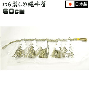 ߓ 600~ m i^j_IpmAE߂ȂnO  { { 琻