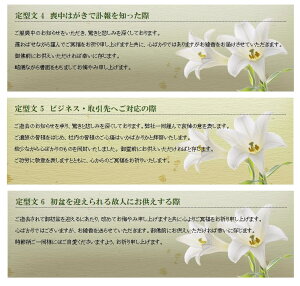 楽天市場 線香 進物線香 贈答用 お線香 ギフト 線香セット 微煙 美麗香 三種香 白檀 フローラル 沈香 送料無料 煙が少ない お盆 御供 初盆 喪中御見舞 お供え お悔やみ 喪中見舞い 進物用線香 御線香 贈答用線香 お供え物 送る 進物線香 メッセージ 喪中線香 一周忌