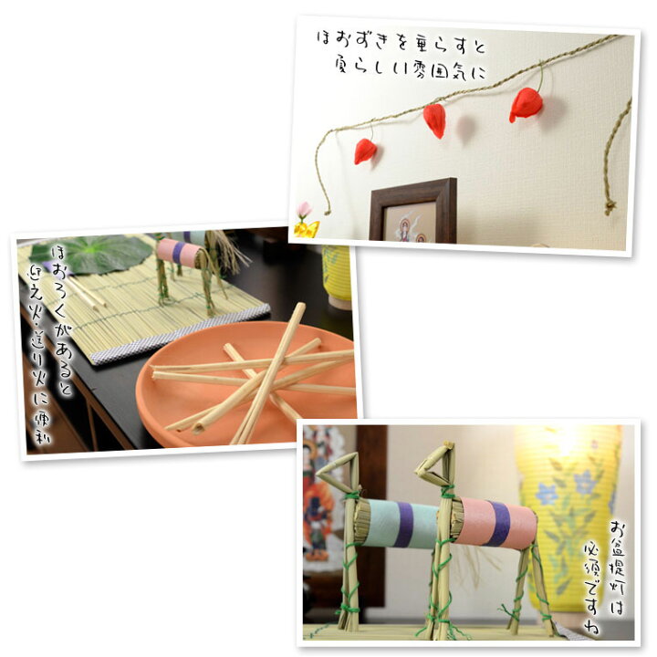 楽天市場 お盆用品 格安 真菰 まこも セット 6点入り普及タイプ お盆 新盆 初盆 盆棚 精霊棚 お盆飾り Rcp 仏壇仏具の仏縁堂