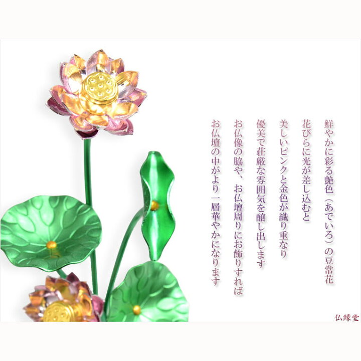 楽天市場 豆常花 花立セット 艶色 あでいろ 咲れんげ 5本立3 0寸パールピンク 仏壇 仏具 常花 花立 蓮華 花瓶 ミニサイズ 送料無料 Smtb Td Rcp 仏壇仏具の仏縁堂 楽天市場 豆常花 花立セット 艶色 あでいろ 咲れんげ 5本立3 0寸パールピンク 仏壇 仏具 常花 花立 蓮華 花瓶 ミニサイズ 送料無料 Smtb Td Rcp 仏壇仏具の仏縁堂