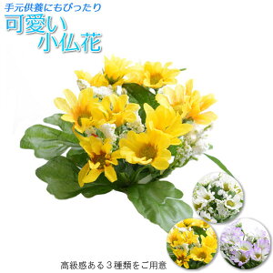 dECeApyԁF킢 CG[T[Nz茳{@ CeA dEyRCPz