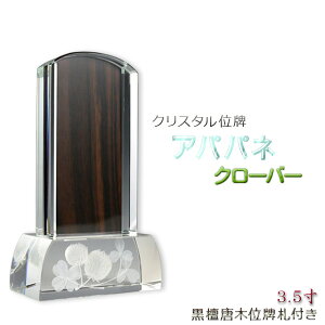 _ʔvyNX^ʔv@Appl2FN[o[3.5zhʔvDt@ysmtb-tdzyRCPz