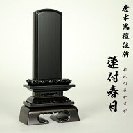 黒檀蓮付春日位牌5.0寸【smtb-td】【RCP】