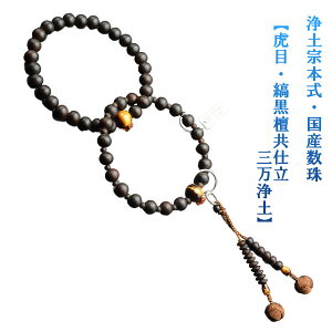 y@yOFՖځEȍhfd@Oyzjp@c[{AE{@˔tysmtb-TDzyRCPz