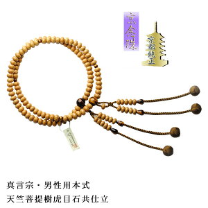 ^@yOFVՖڐ΋dzjp쐳c[{AE{108˔tysmtb-tdzyRCPz