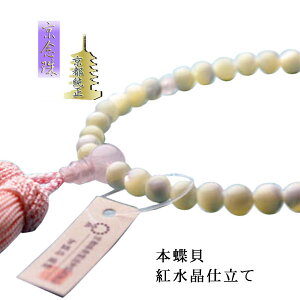 O@C߂{LiIׂd5ށjFgdāAp@[t@lR|XyRCPz