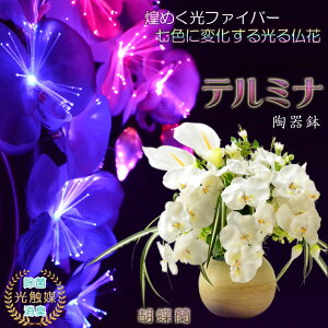 ~yLEDG}Et@Co[ԁFe~i픫@Ӓz~pi@O@񓔁@ԁ@@@ԁ@ysmtb-tdzyRCPz