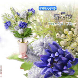 ԁyԁ@Xԁî̂jF NbJX u[zԁ@茳{@ CeA dE@ԁyRCPz
