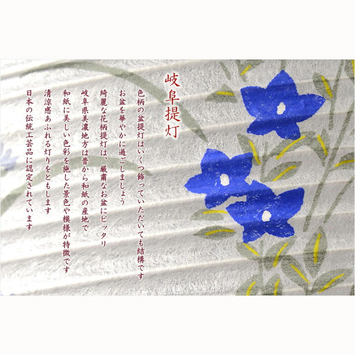 特別セール品 お盆提灯 仏縁堂セレクト 岐阜提灯 御所提灯 10号 和紙調一重張 小菊紫ボカシ Led電池式ローソク付 送料無料 Shipsctc Org 特別セール品 お盆提灯 仏縁堂セレクト 岐阜提灯 御所提灯 10号 和紙調一重張 小菊紫ボカシ Led電池式ローソク付 送料無料 Shipsctc Org