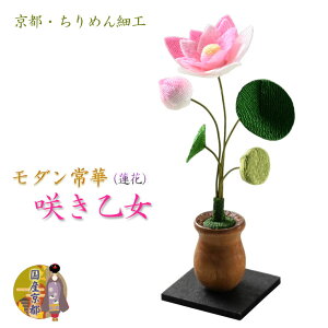 YysE߂񐻁F_؁i@ԁjPii1{j@炫zd@@ԁ@ԁ@ԗā@@ԁ@茳{@C~e[V@@̉ԁyRCPz