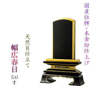 yYLʔvE{^CvEVRLdāFt5.0z ʔv@`^ʔv@Ȃ@@@@{ʔv@ysmtb-TDzyRCPz