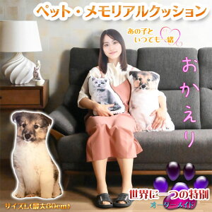 ybgyybg@ANbVF@TCYL@iő50cmjꖳzybg{@ybgX@nhCh@ysmtb-tdzyRCPz