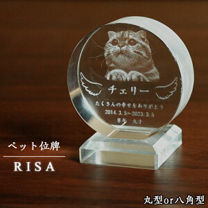 ybgʔvyEɈ̓ʁF3DNX^ʔviTjFz_@IWiʔv@KX@I[_[Ch@ysmtb-tdzyRCPz