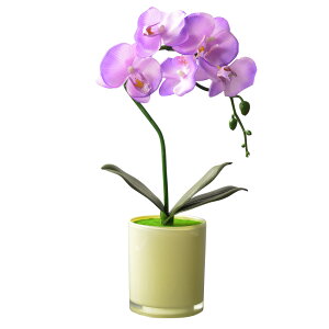 ԁyӒƉԊ킪LEDCg@VVAFӒ@p[vEsN@S2FzV~@~@~pi@~񓔁@~ԁ@dp@ysmtb-tdzyRCPz