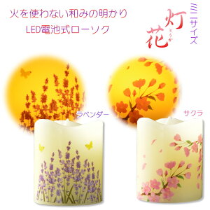 y~jTCY@LEDCgta݃[\NFԁiƂjz[\NEXCE낤@C@d@茳{