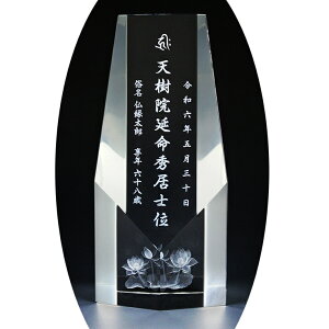 ʔvyEɈ̓ʁF3DNX^ʔv@VA@14cmz_@IWiʔv@KX@I[_[Ch@ysmtb-tdzyRCPz