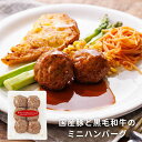 【最大1,000円オフクーポン配布中】国産豚と黒毛和牛のミニハンバーグ 6個入 240g オードブル 惣菜 おかず ハンバーグ