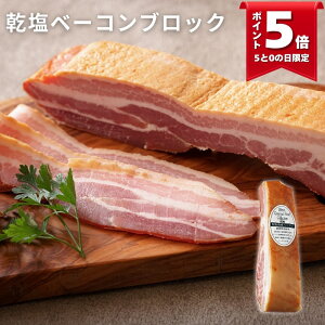 _ő1000~ItN[|zz^nx[R ubN 280g (ubc hCc  X[N VLg  I[hu y ٓ  ͂ p[eB[ C r[ 