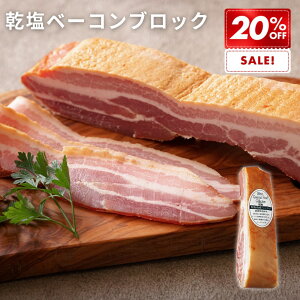 _SSԒőP10{I^nx[R ubN 280g (ubc hCc  X[N VLg  I[hu y ٓ  ͂ p[eB[ C r[ ܂ 