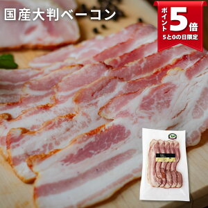 _ő1000~ItN[|zz^Y唻x[R XCX 130g (ubc [I[u|[N AvX≖gp hCc  X[N VLg  I[hu y  p[