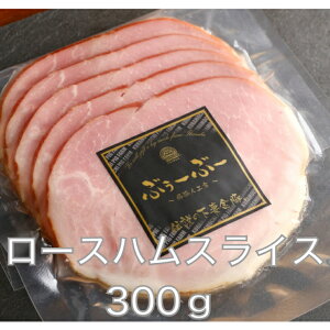 P10{[Xn n@XCX@pbN100g3pbN v300g ȋ [Xn [X  ؓ Mtg Mtg  hV̓ hV