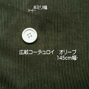 R[fC 8~ L 145cm I[u50cmP ͂蔄 | R[V