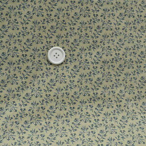 USA Rbg@michael miller fabrics@{^jJ@110cm 50cmP ͂蔄@|@V[`O