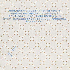 hJ GuC_[ [X _CAi It 98cm { 50cmPʂ̉i }XN hX uEG n fBX q | Ntg z n 