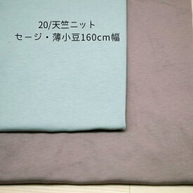 ニット生地 20/ 天竺 くすみ セージ グリーン 薄 小豆色 160cm幅 日本製 50cm単位の価格 tシャツ カットソー ワンピース レディス メンズ 子供服 手芸 クラフト 生地 布