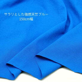ニット生地 無地 強燃 天竺ニット ブルー 150cm 幅 日本製 綿100 50cm単位の価格 tシャツ カットソー レディス メンズ 子供服 手芸 クラフト 生地 布