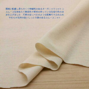 jbgn I[KjbN Rbg X[X F  170cm { 50cmPʂ̉i tVc Ci[ fBX Y q | nhCh Ntg z n  ʔ