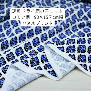 1000~|bL hC ̎q R u[ 157m c91cm  plvg {  91cmPʂ̉i fBXMTCY Jbg\[ t Vc 傫 fBX Y q