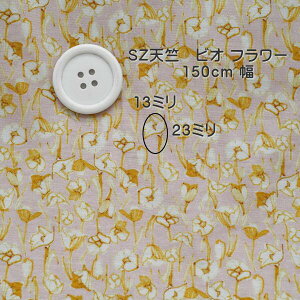 jbgn  ԕ vg SZV sN 150cm { fBX LbY Jbg\[ tVc 50cmPʉi I[_[Jbg r[   ʔ