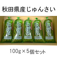 秋田森岳名産 じゅんさい 5個セット 国産