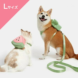 N[|聟 ypz VETRESKA xgXJ LTCY ybg n[lX [h Zbg XCJ / Watermelon |VFbg obOpbN