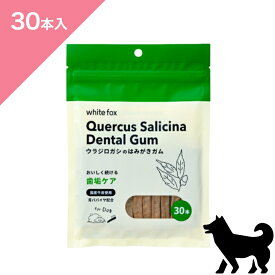 ◆クーポンあり◆【犬用】 whitefox ホワイトフォックス ウラジロガシのはみがきガム 歯垢ケア【30本入】ドッグ トリーツ デンタルケア Dental Care Gum Treats FOR DOGS snack 正規品 プレミアムフード 牛皮 歯垢ケア 口臭 歯周病 虫歯 歯磨き