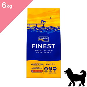 ���N�[�|�����聟�y���p�zFISH4DOGS �t�B�b�V��4�h�b�O �t�@�C�l�X�g�V���[�Y �I�[�V�����z���C�g�t�B�b�V���y6kg�z Dog food ���K�i �v���~�A���t�[�h �^�� �X�Y�L �j�V�� �O���C���t���[ ����