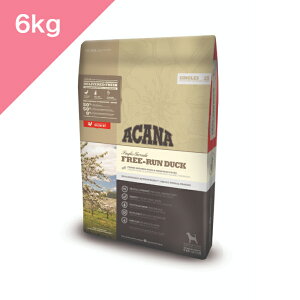 N[|聟 ܖ2026/11/1 ȍ~ ypz ACANA AJi VO t[_bN hbO y6kgz VN  FREE-RUN DUCK Ki v~At[h